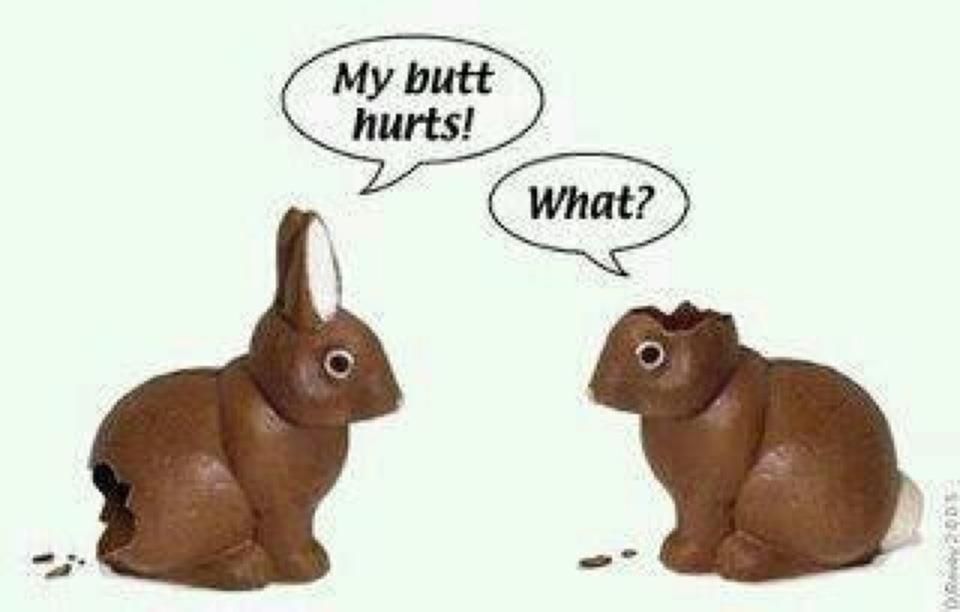 chocolate bunny ears bit off.jpg